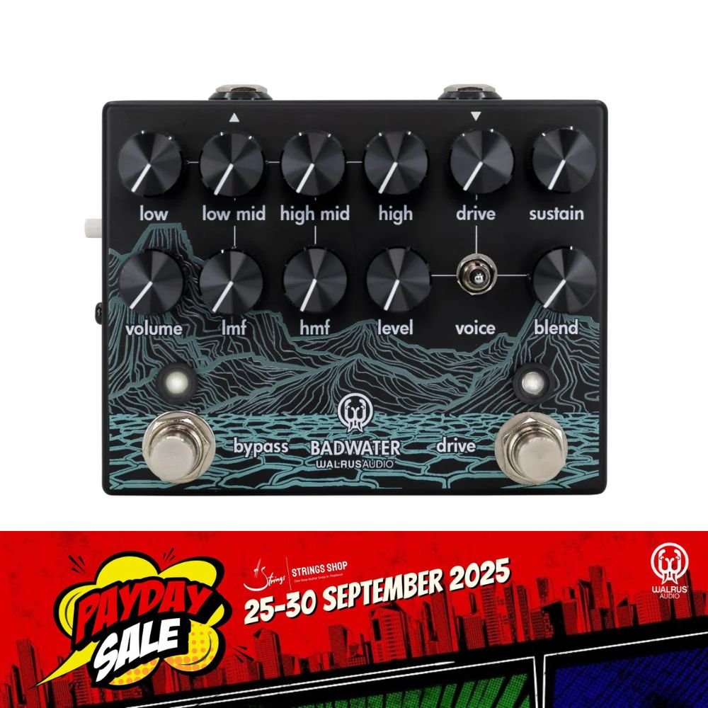 Walrus Audio Badwater ギターエフェクター Badwater Bass Pre-amp and D.I.
