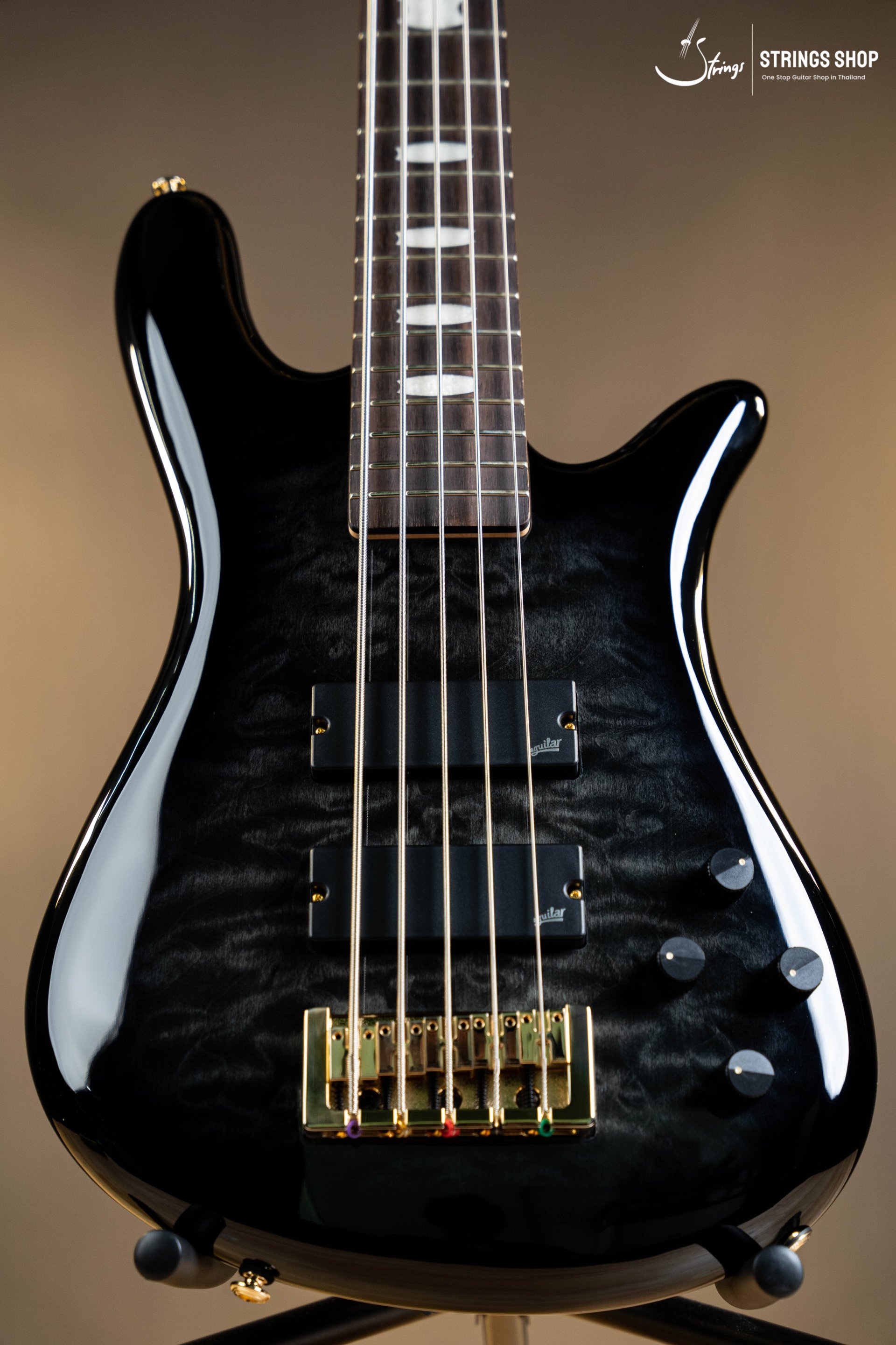 Spector Icon NS-5 Bolt-On Black Stain Gloss