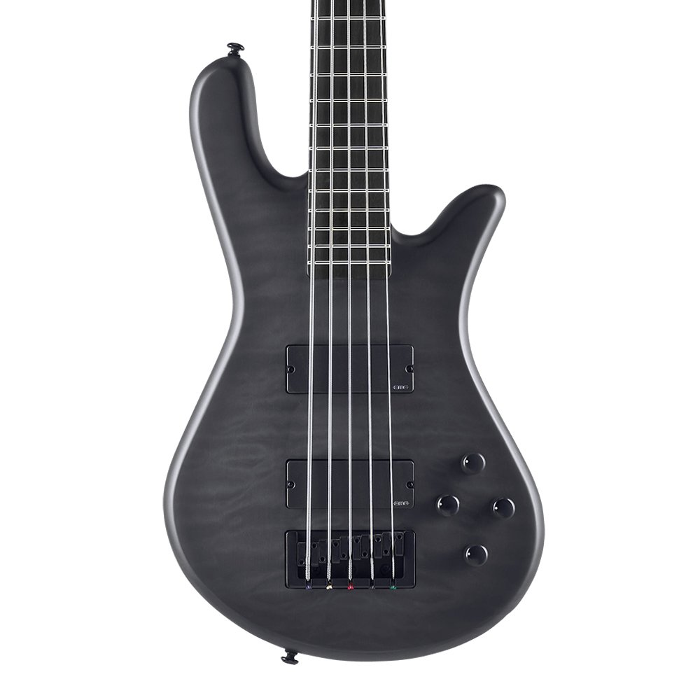 Spector NS Pulse ll 5 - Black Stain Matte