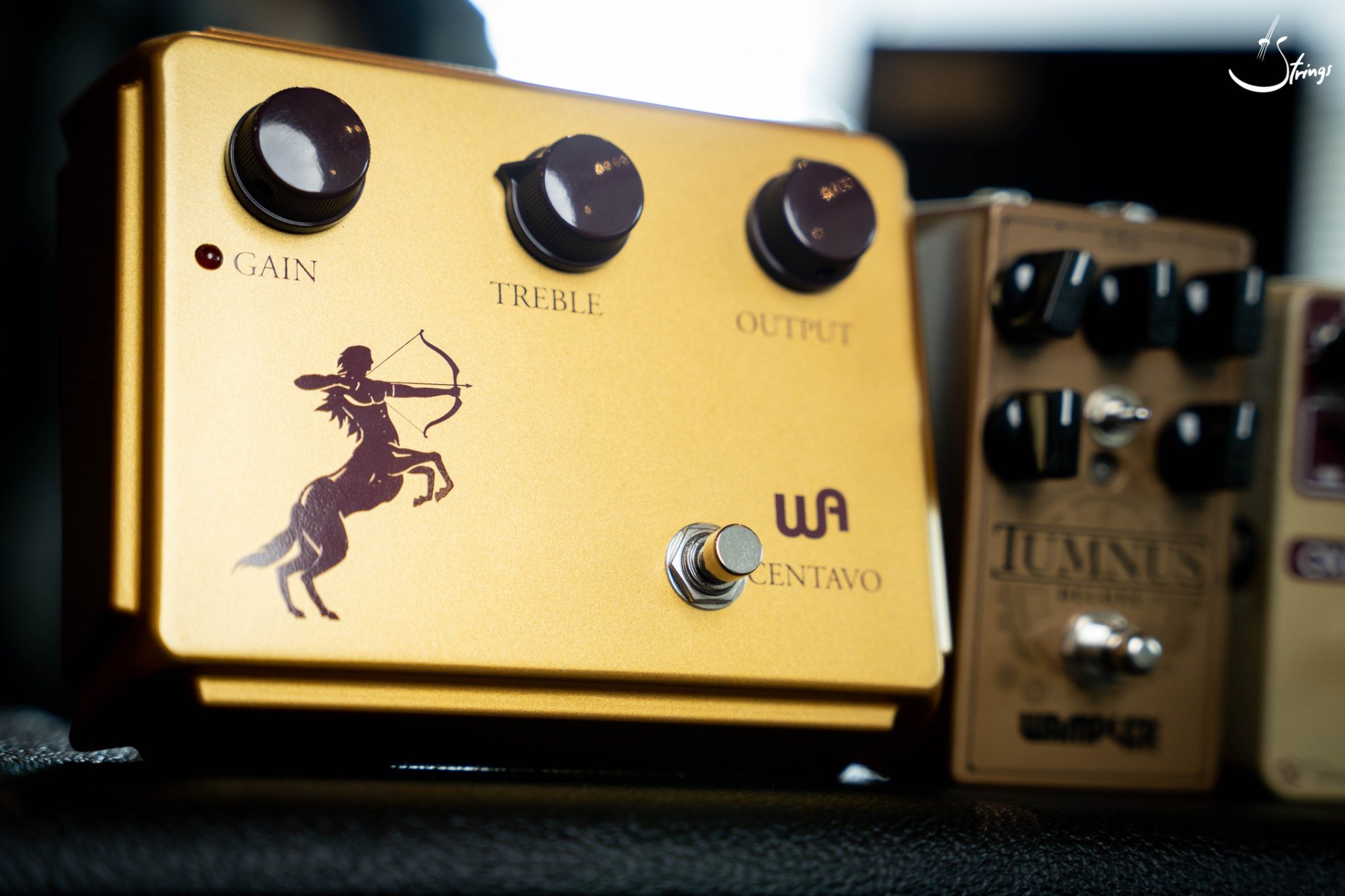 Warm_Audio_Centavo_1.jpeg?v= Warm_Audio_Centavo_1.jpeg?v=