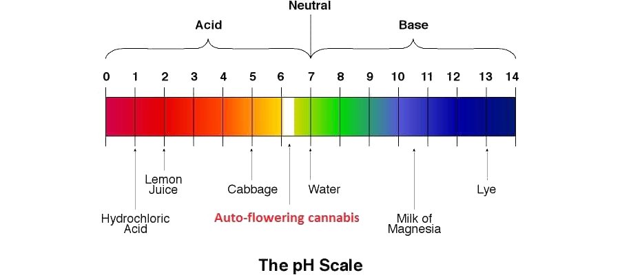 ค่า pH ในสระว่ายนํ้า