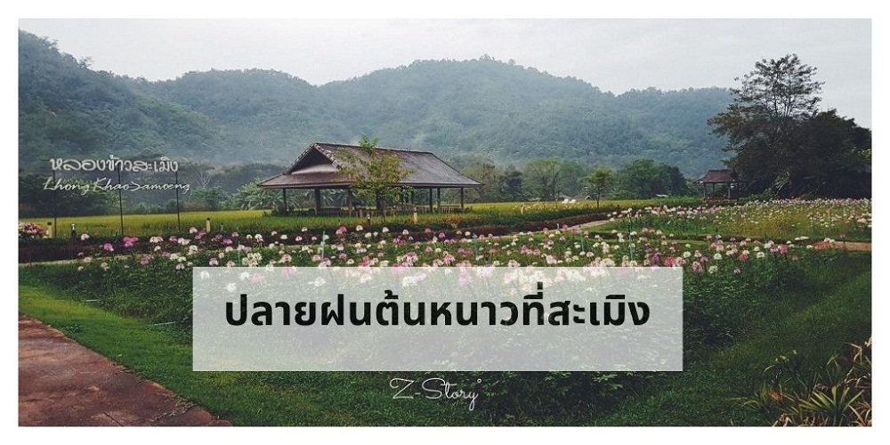 ปลายฝนต้นหนาวที่สะเมิง ปลายฝนต้นหนาวที่สะเมิง