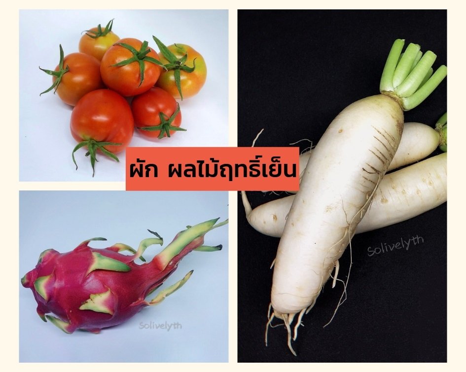10 ผัก ผลไม้ฤทธิ์เย็นเพื่อสุขภาพ 10 ผัก ผลไม้ฤทธิ์เย็นเพื่อสุขภาพ
