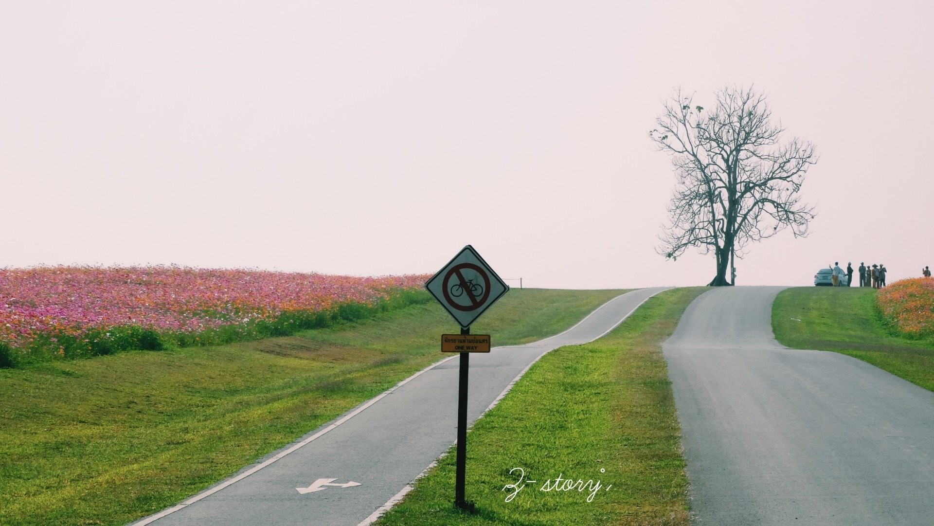 เชียงราย เจียงฮายที่รัก (ep.1) เชียงราย เจียงฮายที่รัก (ep.1)