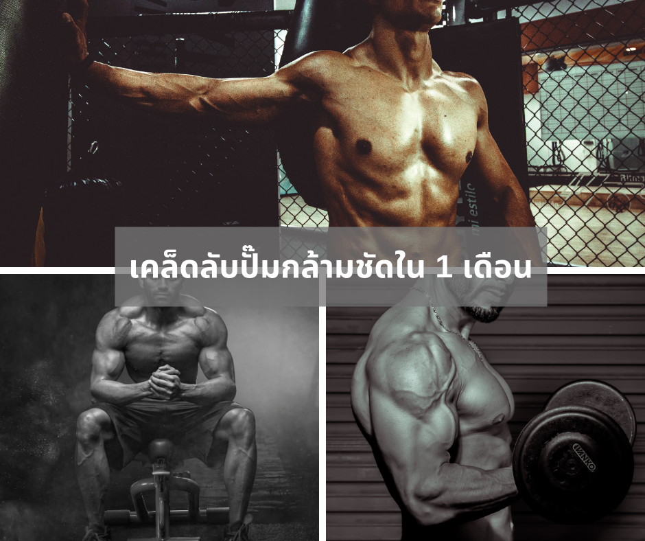 เคล็ดลับปั๊มกล้ามชัดใน 1 เดือน เปลี่ยนคนธรรมดาให้หุ่นดีจนมีแต่คนอิจฉา เคล็ดลับปั๊มกล้ามชัดใน 1 เดือน เปลี่ยนคนธรรมดาให้หุ่นดีจนมีแต่คนอิจฉา