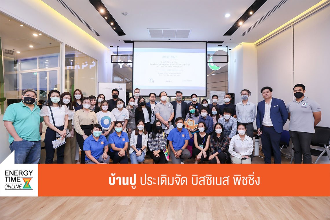บ้านปู จำกัด (มหาชน)