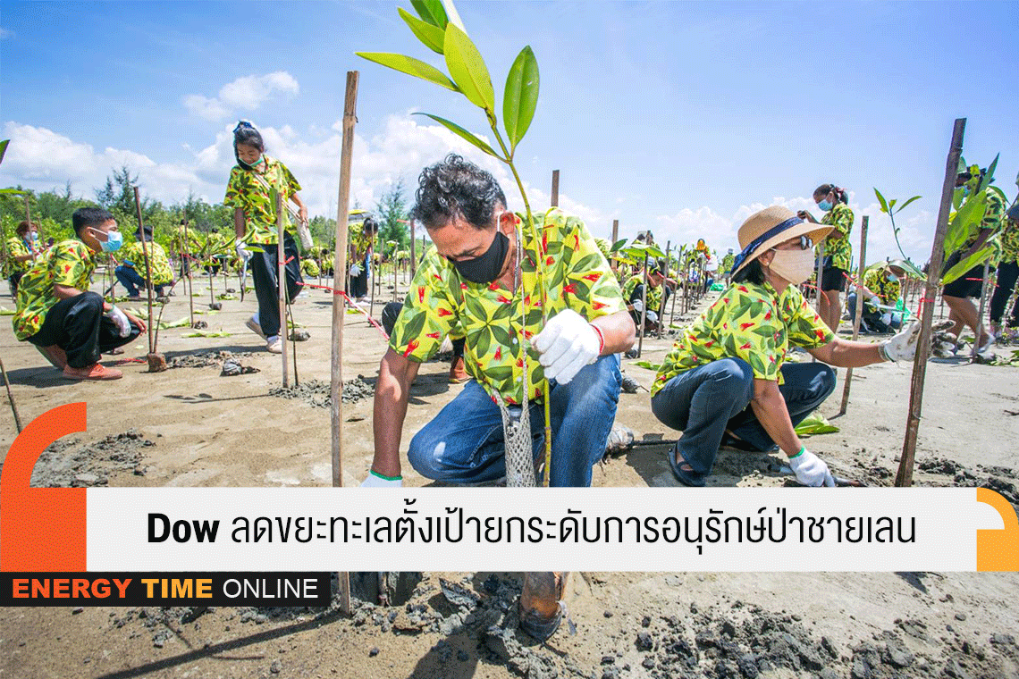 ดาว ประเทศไทย ดาว ประเทศไทย