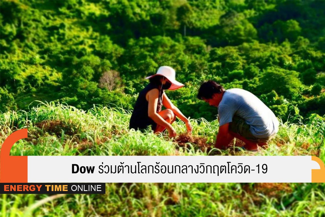 ดาว ประเทศไทย