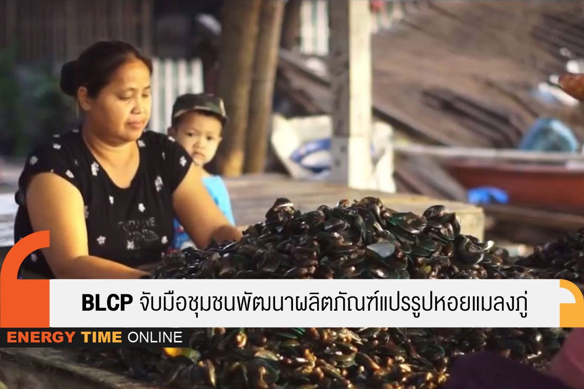 บีแอลซีพี เพาเวอร์ จำกัด