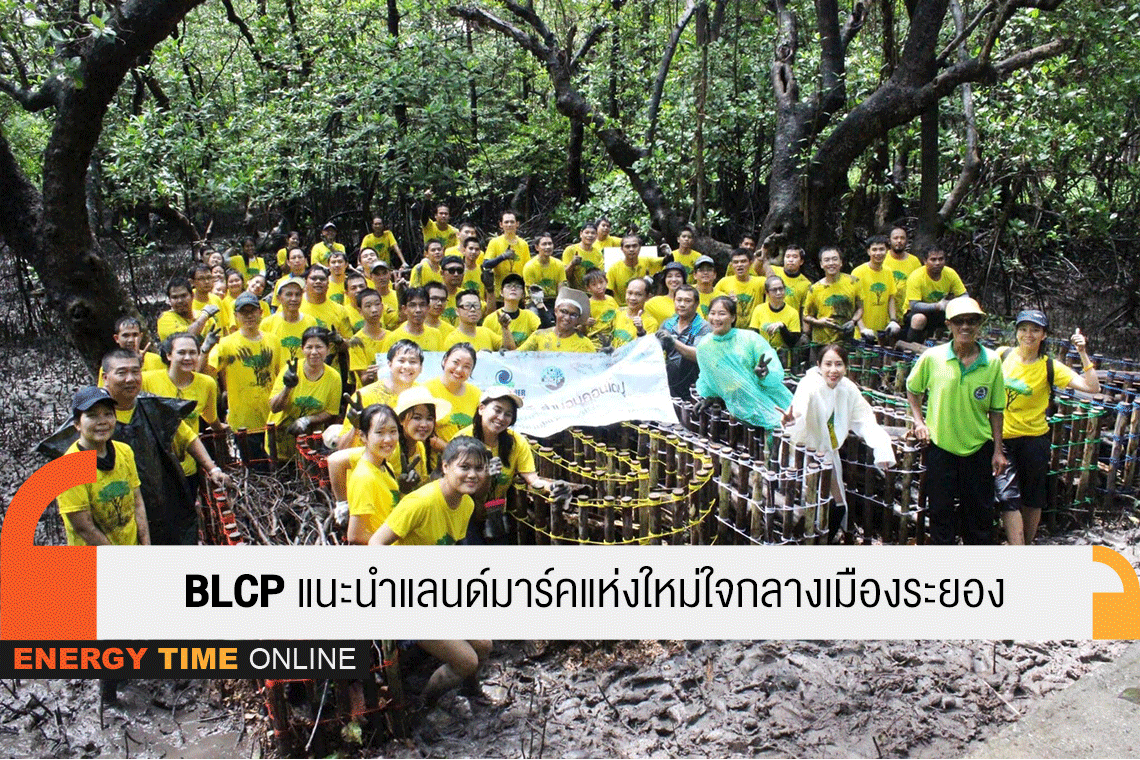 บีแอลซีพี เพาเวอร์ จำกัด