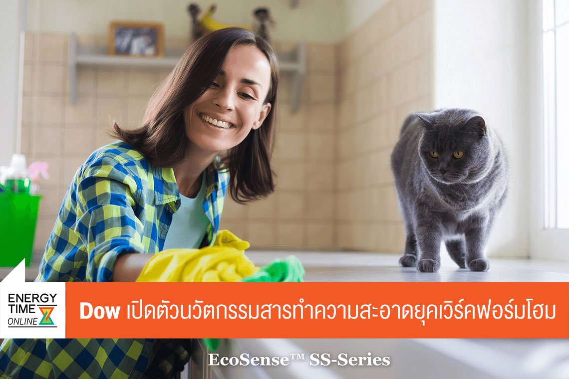 ดาว ประเทศไทย