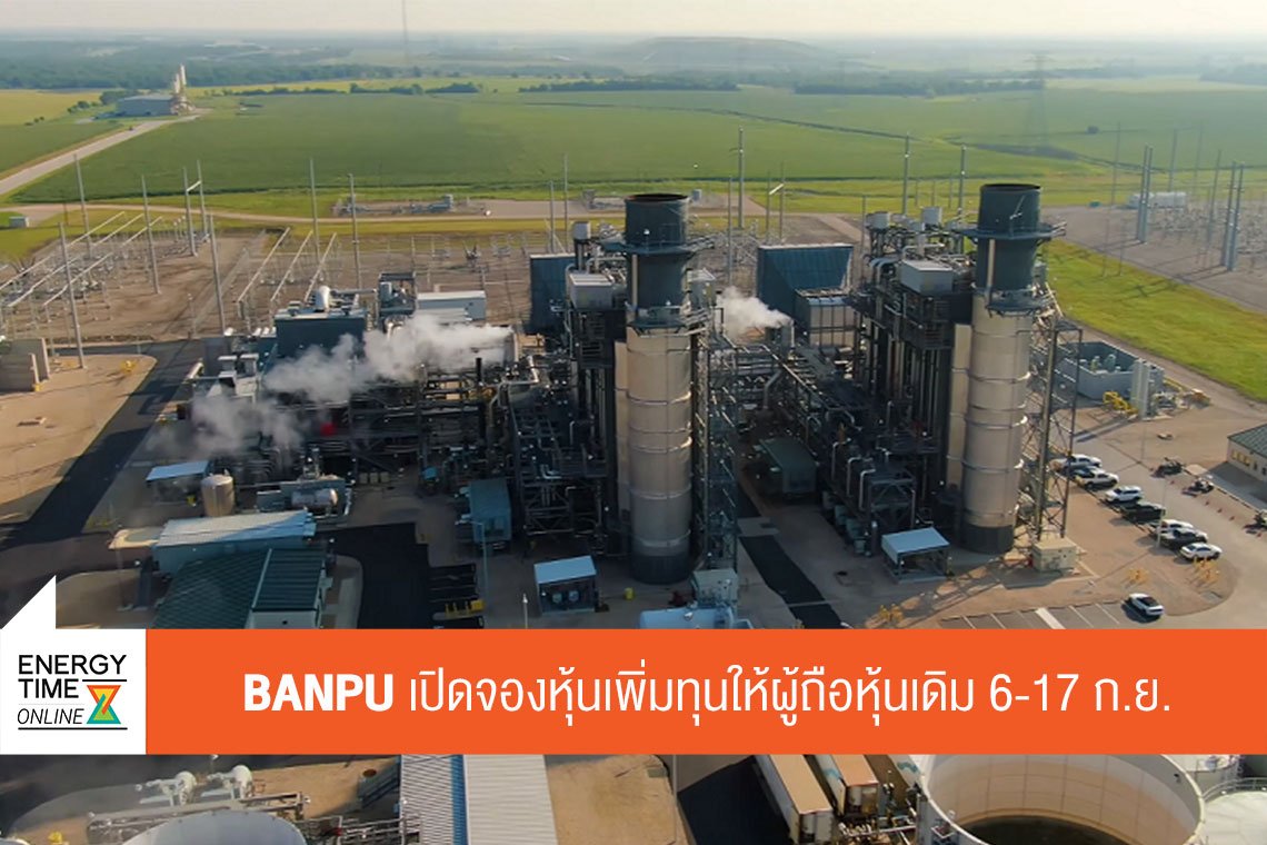 บ้านปู จำกัด (มหาชน)