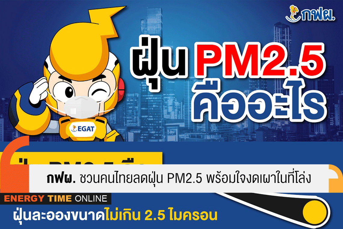 การไฟฟ้าฝ่ายผลิตแห่งประเทศไทย