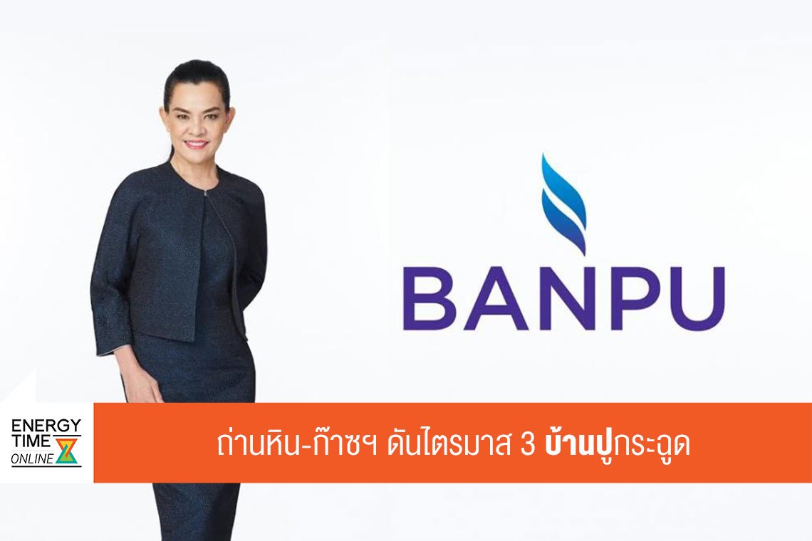 บ้านปู จำกัด (มหาชน)