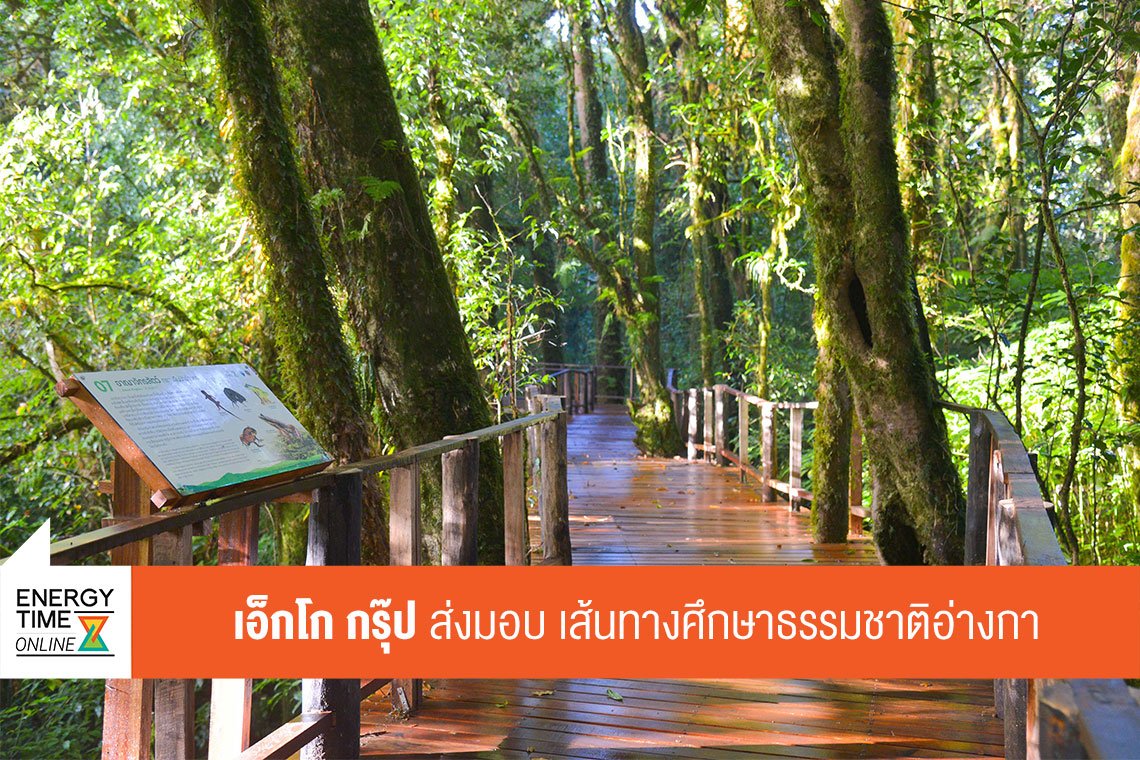 ผลิตไฟฟ้า จำกัด (มหาชน)