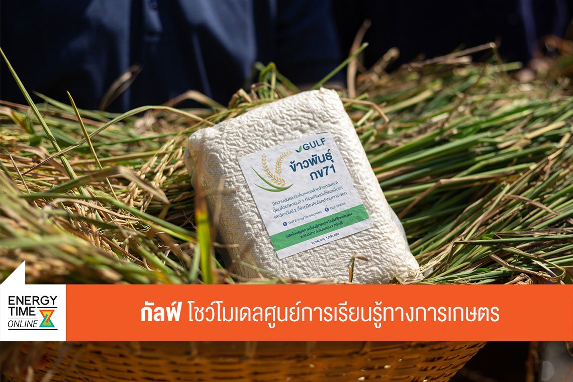 กัลฟ์ เอ็นเนอร์จี ดีเวลลอปเมนท์ จำกัด (มหาชน)