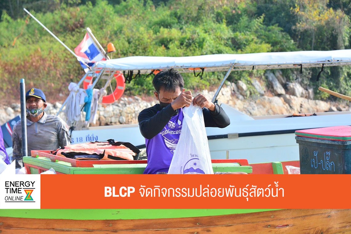บีแอลซีพี เพาเวอร์ จำกัด