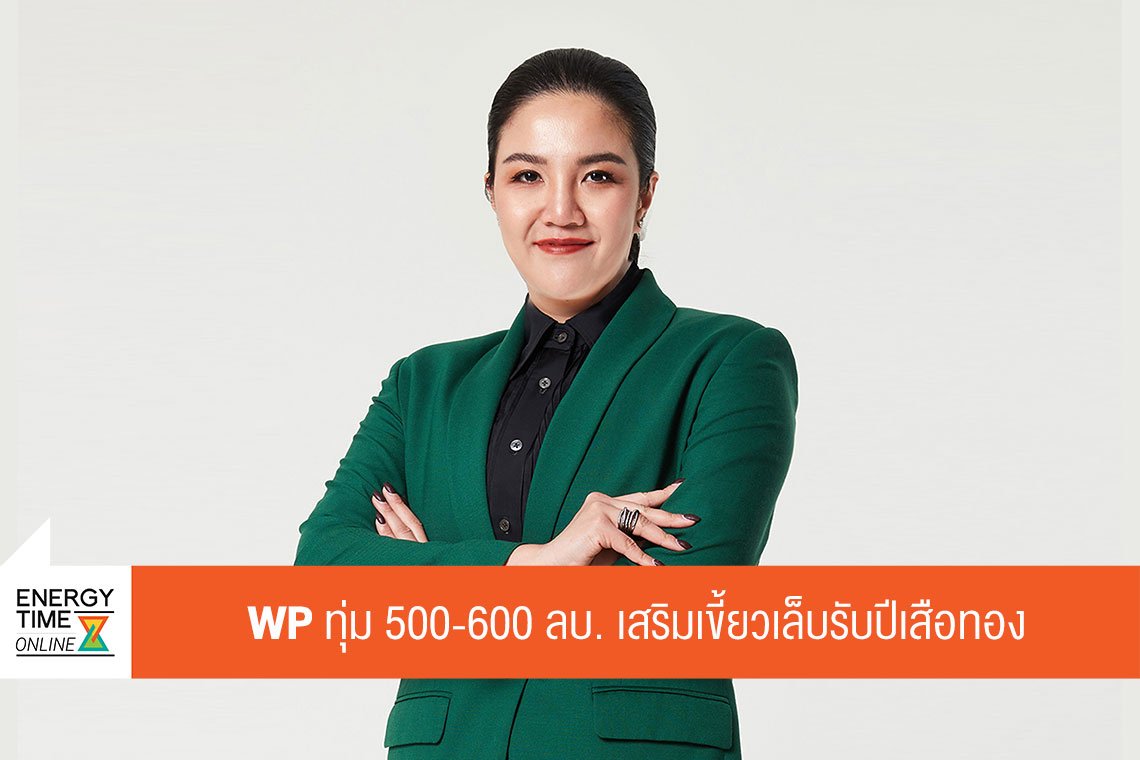 ดับบลิวพี เอ็นเนอร์ยี่ จำกัด (มหาชน)