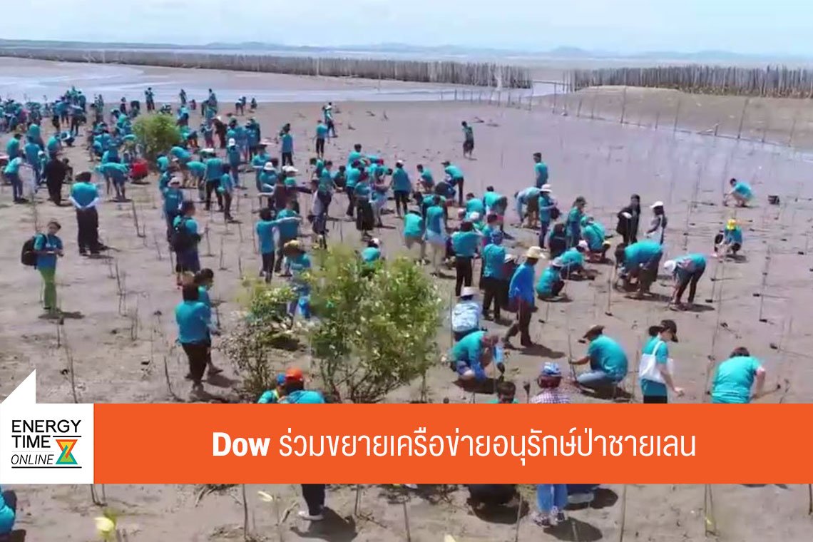 ดาว ประเทศไทย