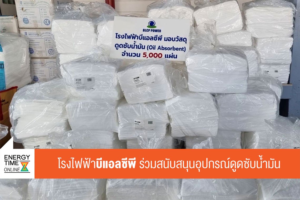 บีแอลซีพี เพาเวอร์ จำกัด