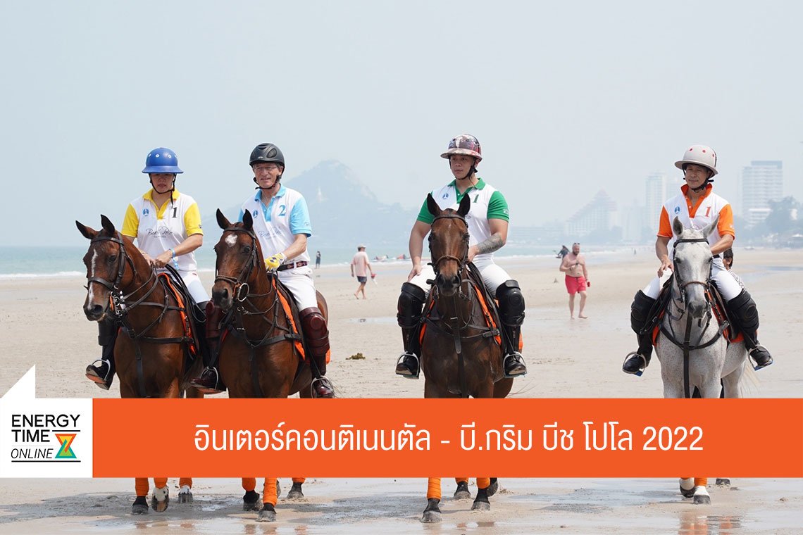 บี.กริม เพาเวอร์ จำกัด (มหาชน)