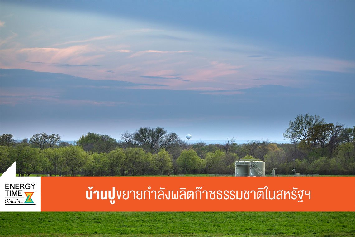 บ้านปู จำกัด (มหาชน) บ้านปู จำกัด (มหาชน)