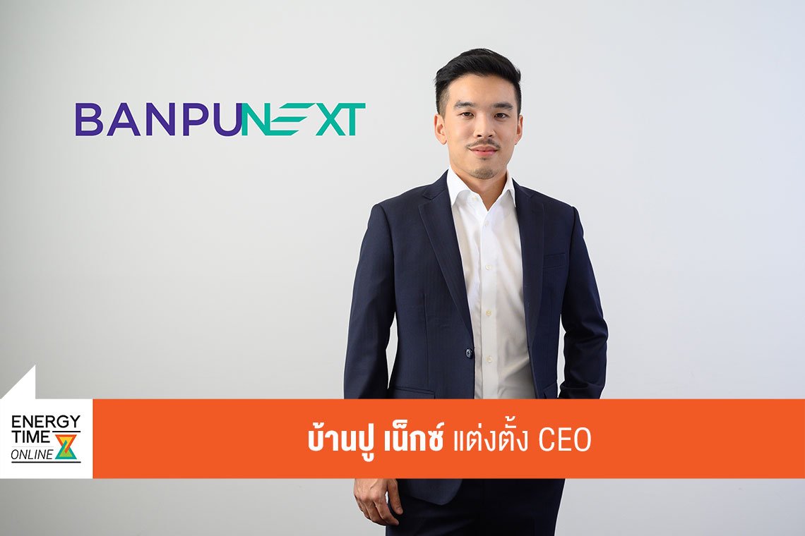 บ้านปู จำกัด (มหาชน)