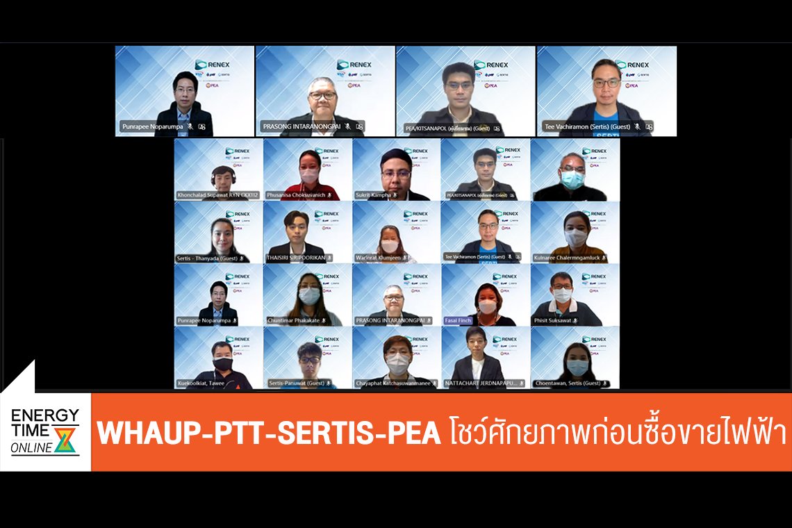 ดับบลิวเอชเอ ยูทิลิตี้ส์ แอนด์ พาวเวอร์ จํากัด (มหาชน)