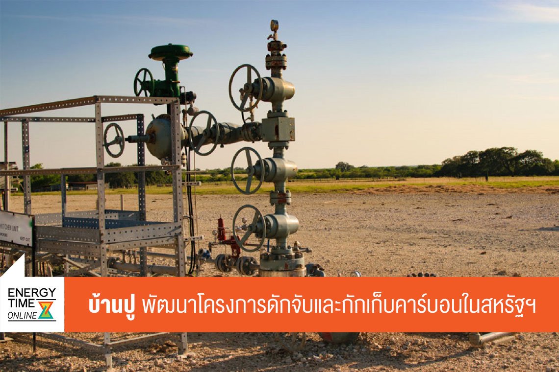 บ้านปู จำกัด (มหาชน)