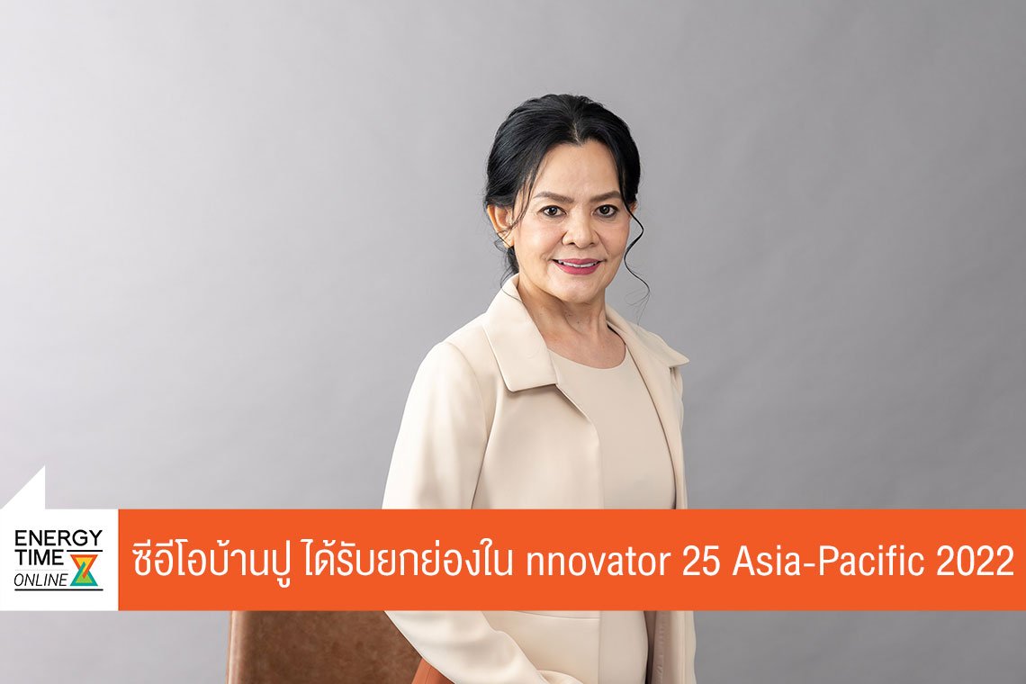บ้านปู จำกัด (มหาชน)