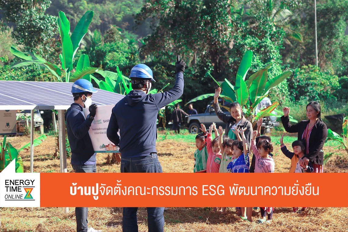 บ้านปู จำกัด (มหาชน)