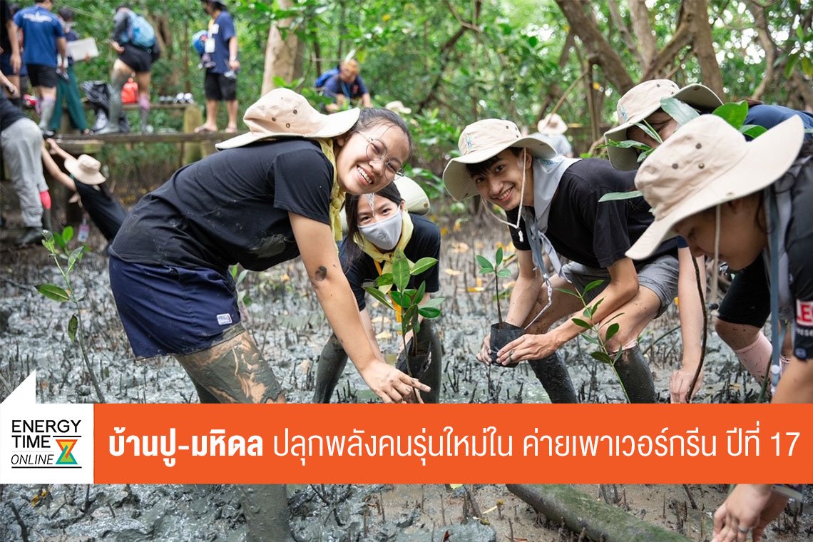 บ้านปู จำกัด (มหาชน)