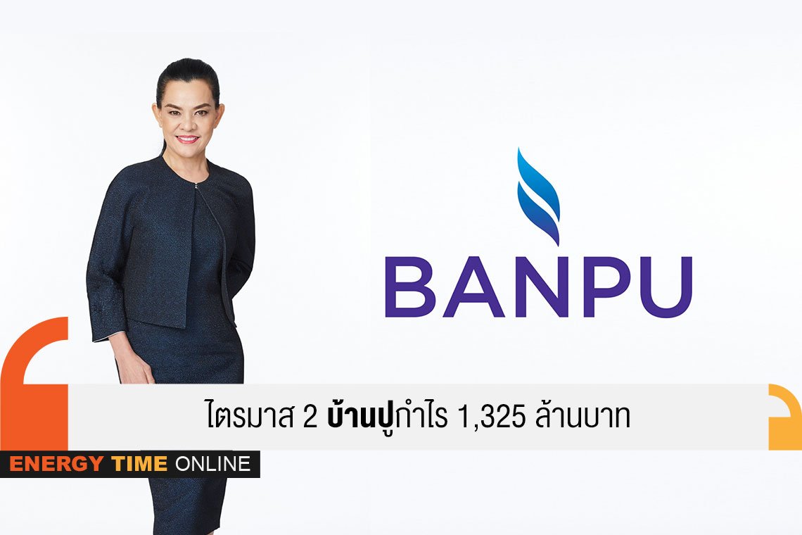 บ้านปู จำกัด (มหาชน)