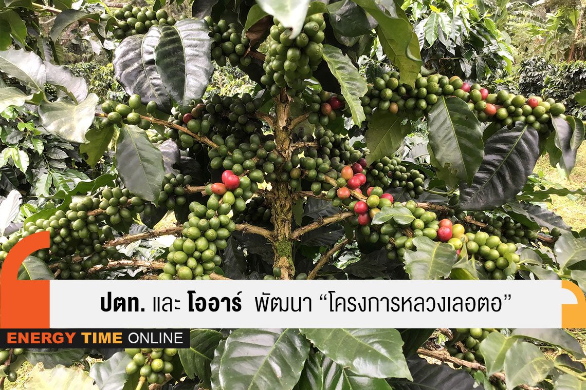 ปตท. จำกัด (มหาชน) , ปตท. น้ำมันและการค้าปลีก จำกัด (มหาชน)