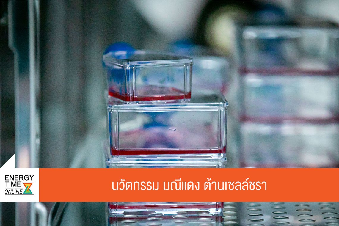 ปตท. จำกัด (มหาชน)