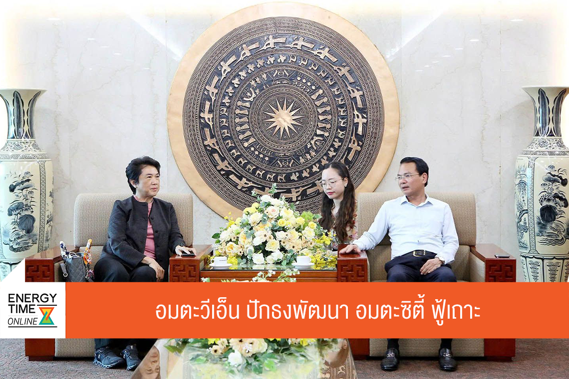 บริษัท อมตะ วีเอ็น จำกัด (มหาชน)