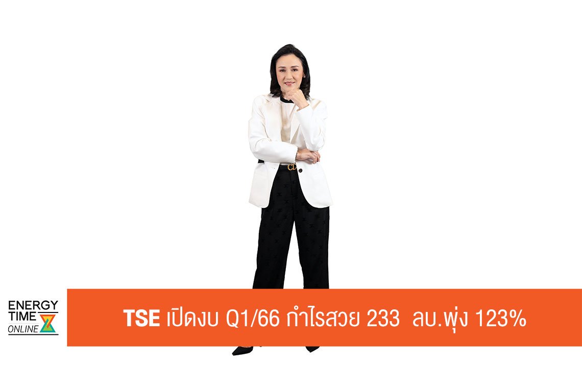ไทย โซล่าร์ เอ็นเนอร์ยี่ จำกัด (มหาชน)