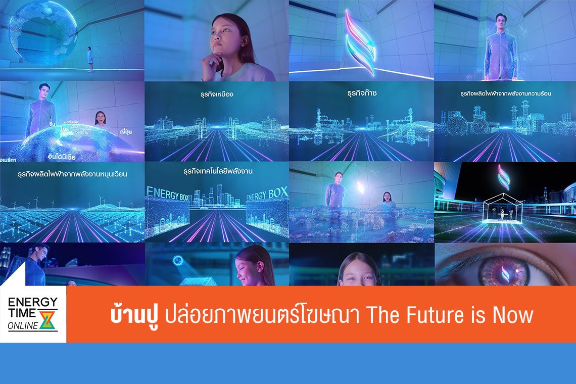 บ้านปู จำกัด (มหาชน)