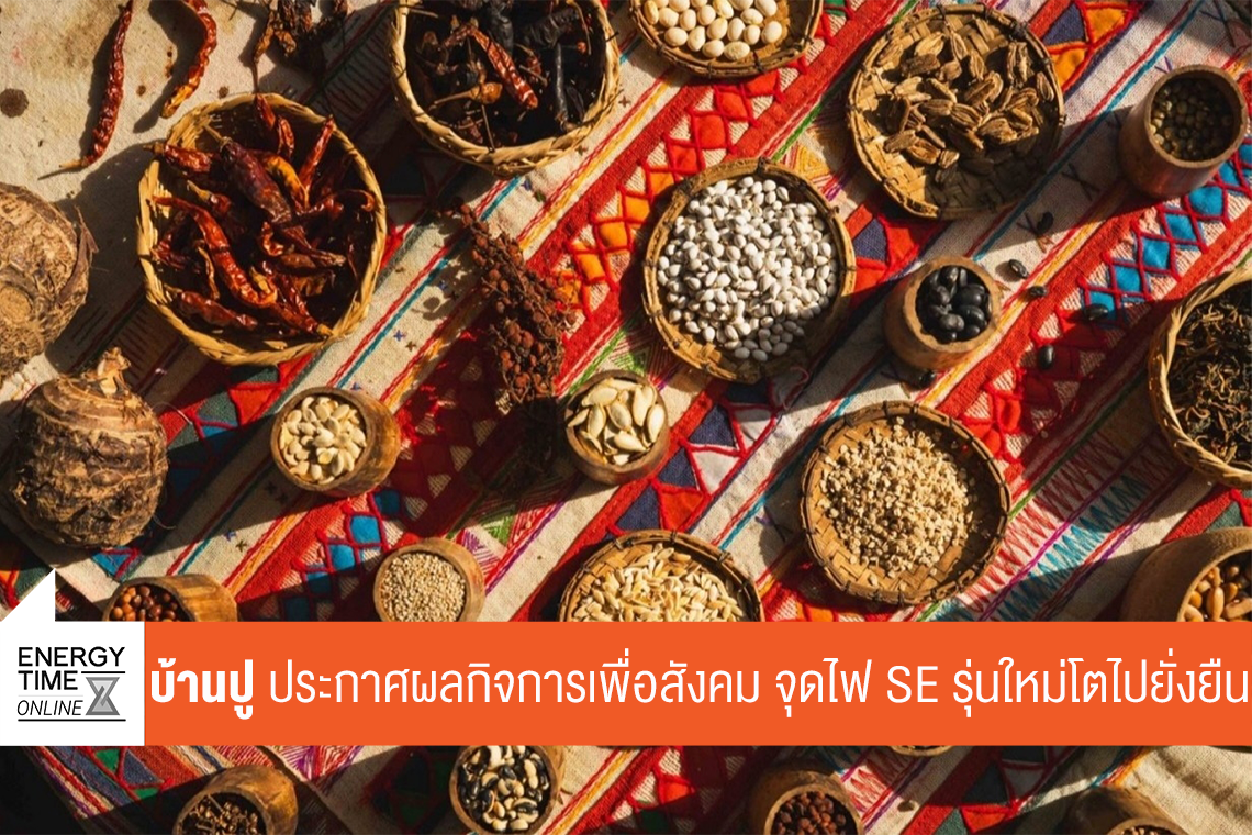 บริษัท บ้านปู จำกัด (มหาชน)
