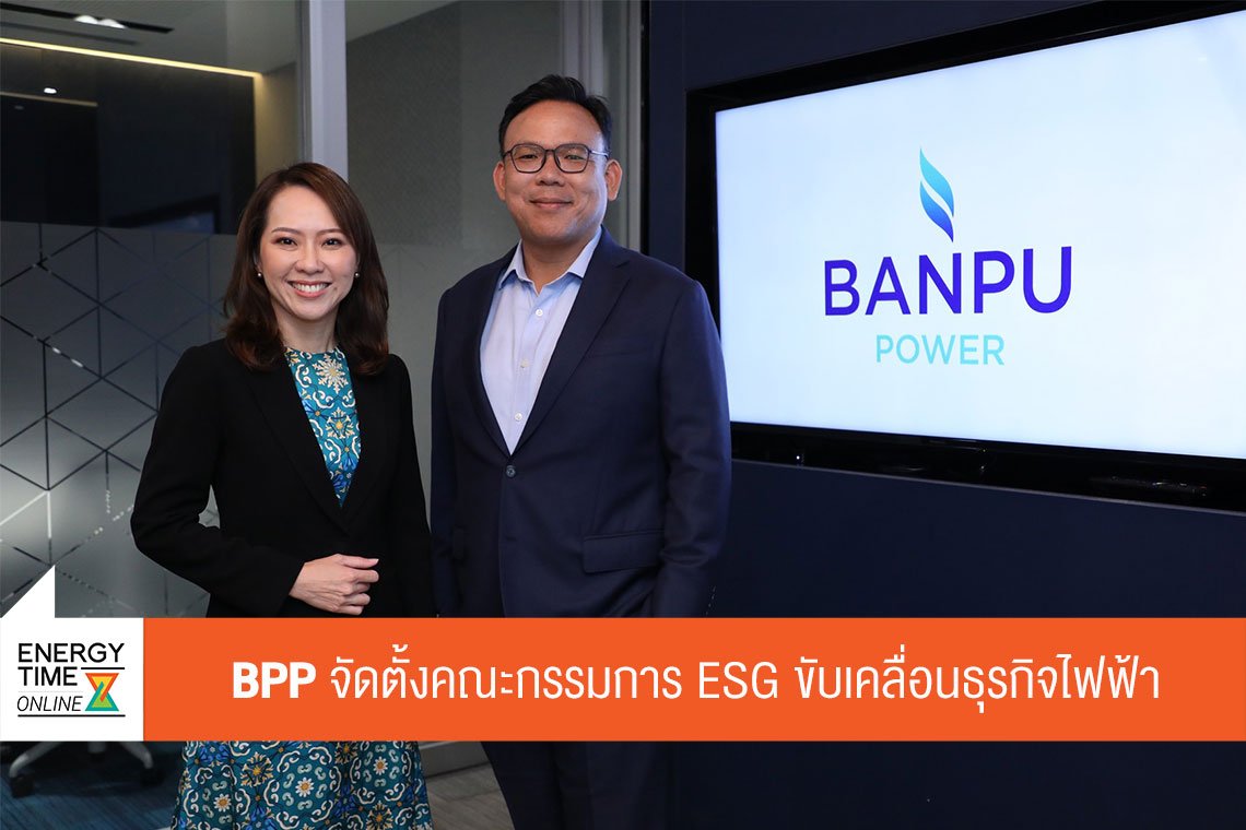 บ้านปู เพาเวอร์ จำกัด (มหาชน)