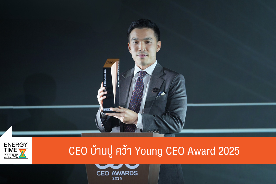 บริษัท บ้านปู จำกัด (มหาชน)