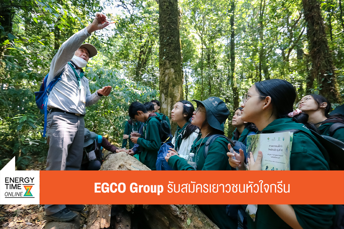 บริษัท ผลิตไฟฟ้า จำกัด (มหาชน)