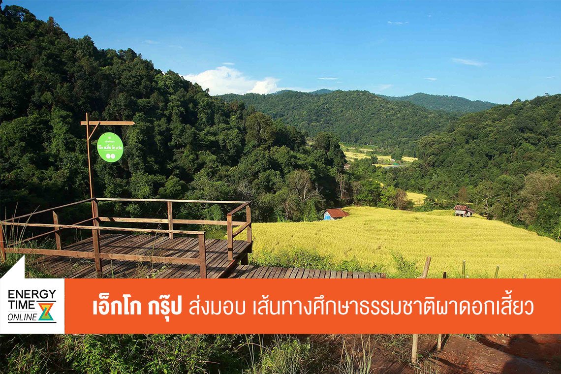 ผลิตไฟฟ้า จำกัด (มหาชน)