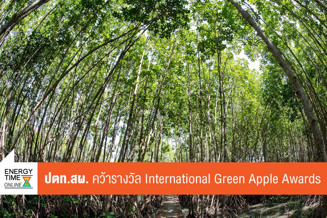 ปตท. สำรวจเเละผลิตปิโตรเลียม จำกัด (มหาชน)