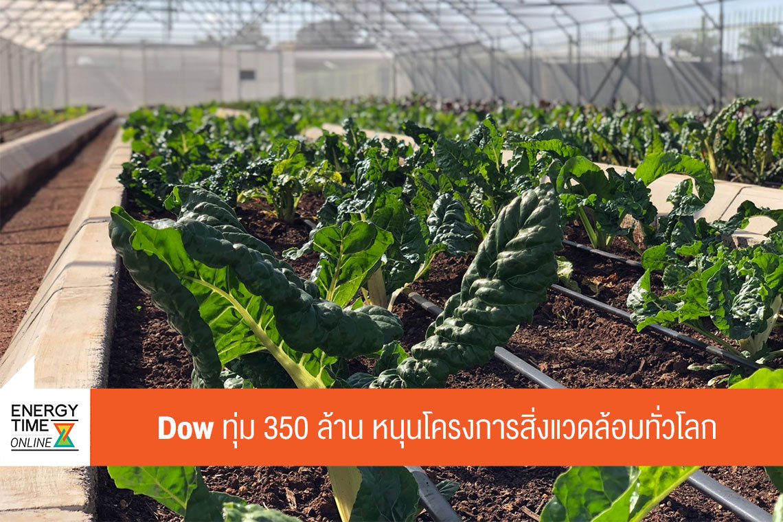 ดาว ประเทศไทย