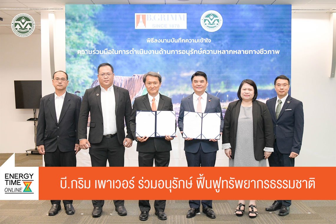 บี.กริม เพาเวอร์ จำกัด (มหาชน)