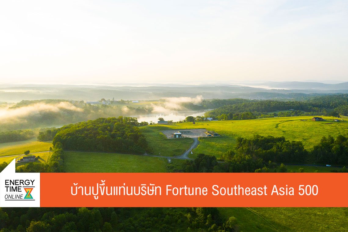 บ้านปู จำกัด (มหาชน)