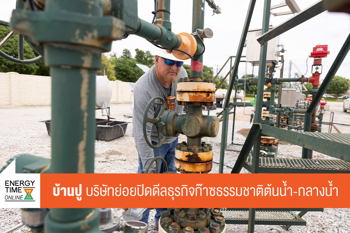 บริษัท บ้านปู จำกัด (มหาชน)