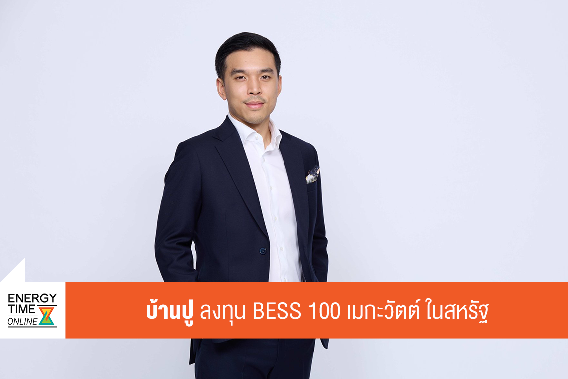 บริษัท บ้านปู จำกัด (มหาชน)