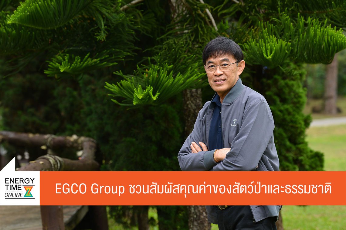 ผลิตไฟฟ้า จำกัด (มหาชน)